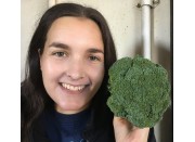 BROCCOLI SMALL Each  LEVIN Grown 